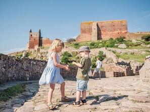 A historic stone wall with a castle in the background. - 4 Person Holiday Home in Allinge (Allinge)
