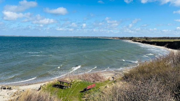A coastal landscape with a clear sky, a sandy beach, and a picnic area with benches and a red bench. - 6 Person Holiday Home in Vinderup (Vinderup)