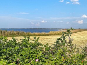 إطلالة على المياه