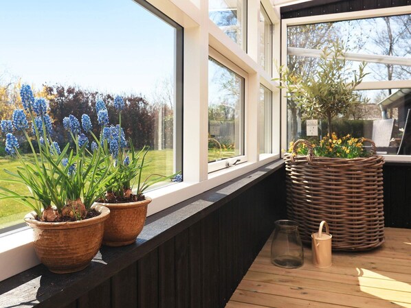 الإطلالة من المنشأة