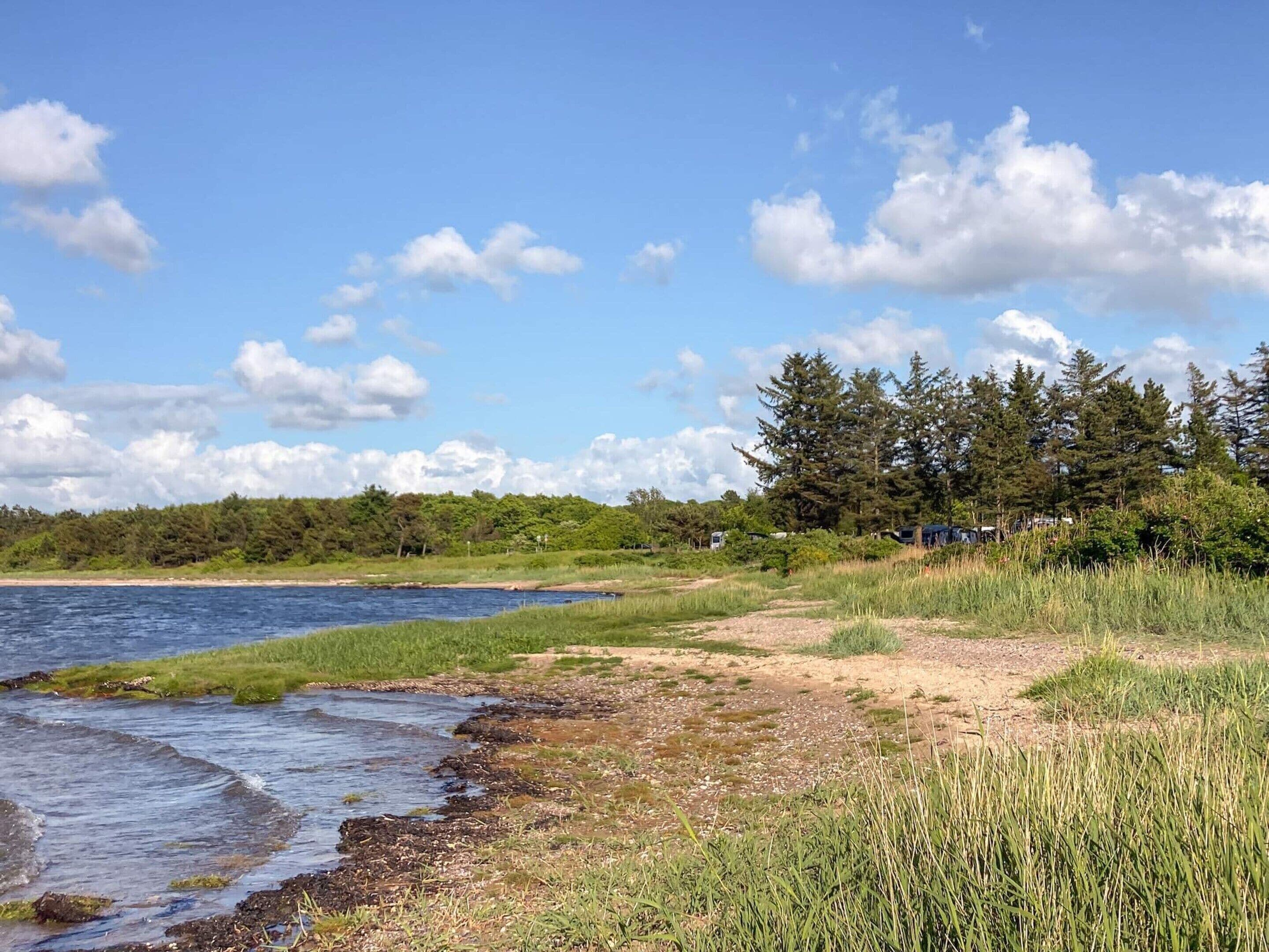Eine natürliche Landschaft mit Fluss, Wiesen und Bäumen.
