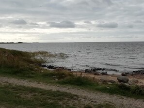 Et kystlandskab med en klippefyldt kystlinje, grønne områder og havudsigt under en overskyet himmel.