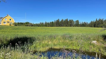 Una casa amarilla con un campo y un pequeño estanque al frente.