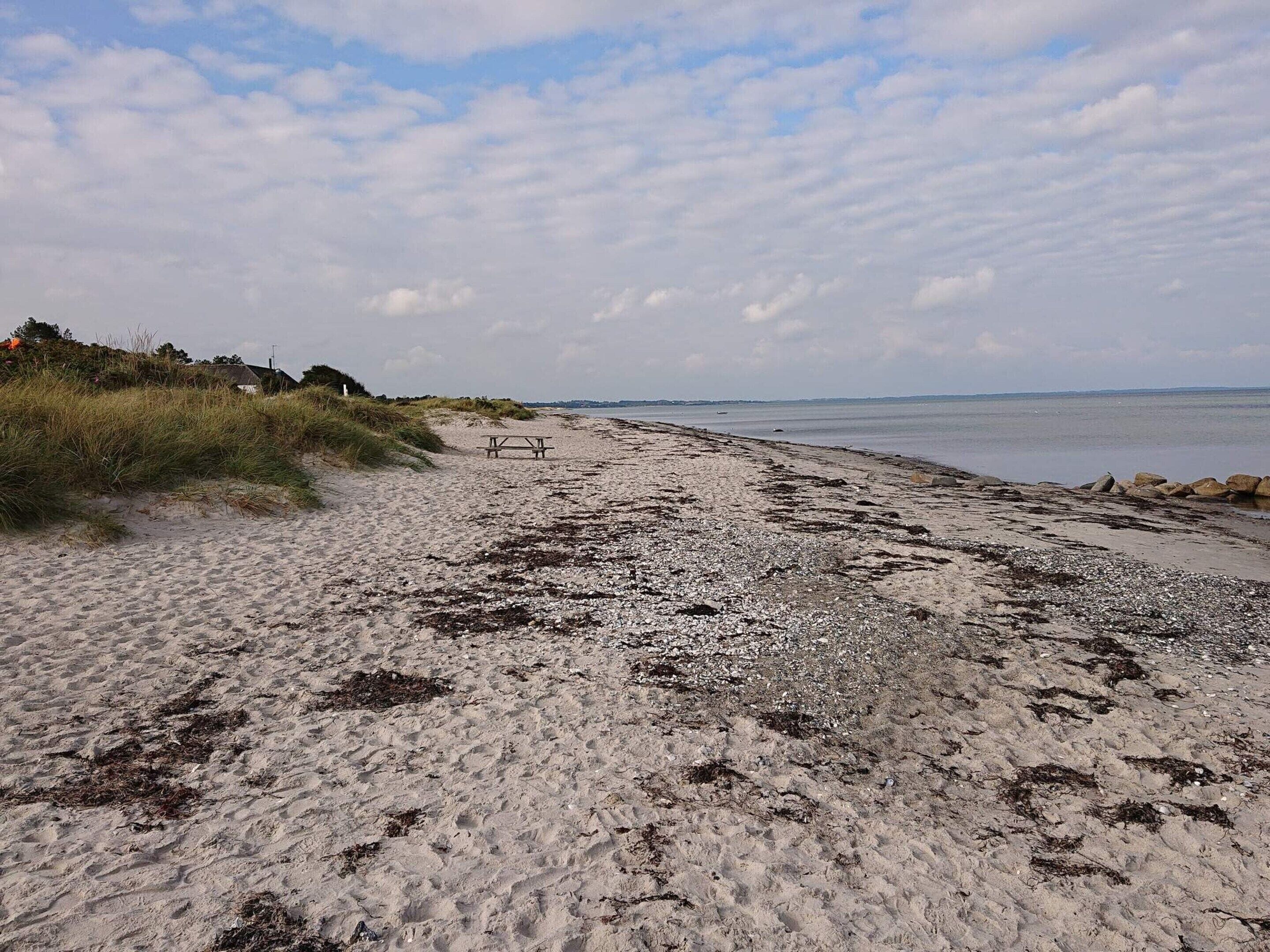 A beach with a picnic table, seaweed on the sand, and a distant view of the sea.