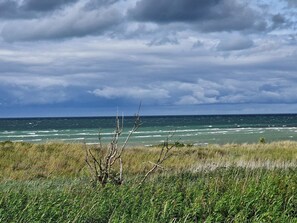 Ett kustlandskap med en gräsklädd förgrund och utsikt över havet under en molnig himmel.