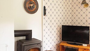 Ett vardagsrum med en vedeldad kamin, en tv på ett träställ och en tapet med mönster.