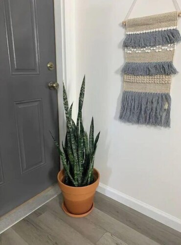 Cozy 1-Bedroom Apartment 15 minutes from KY Lake