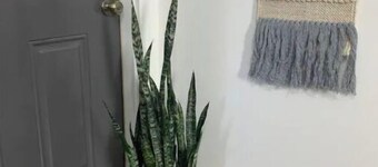 Cozy 1-Bedroom Apartment 15 minutes from KY Lake