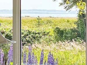 A window with a view of a grassy field and purple flowers.