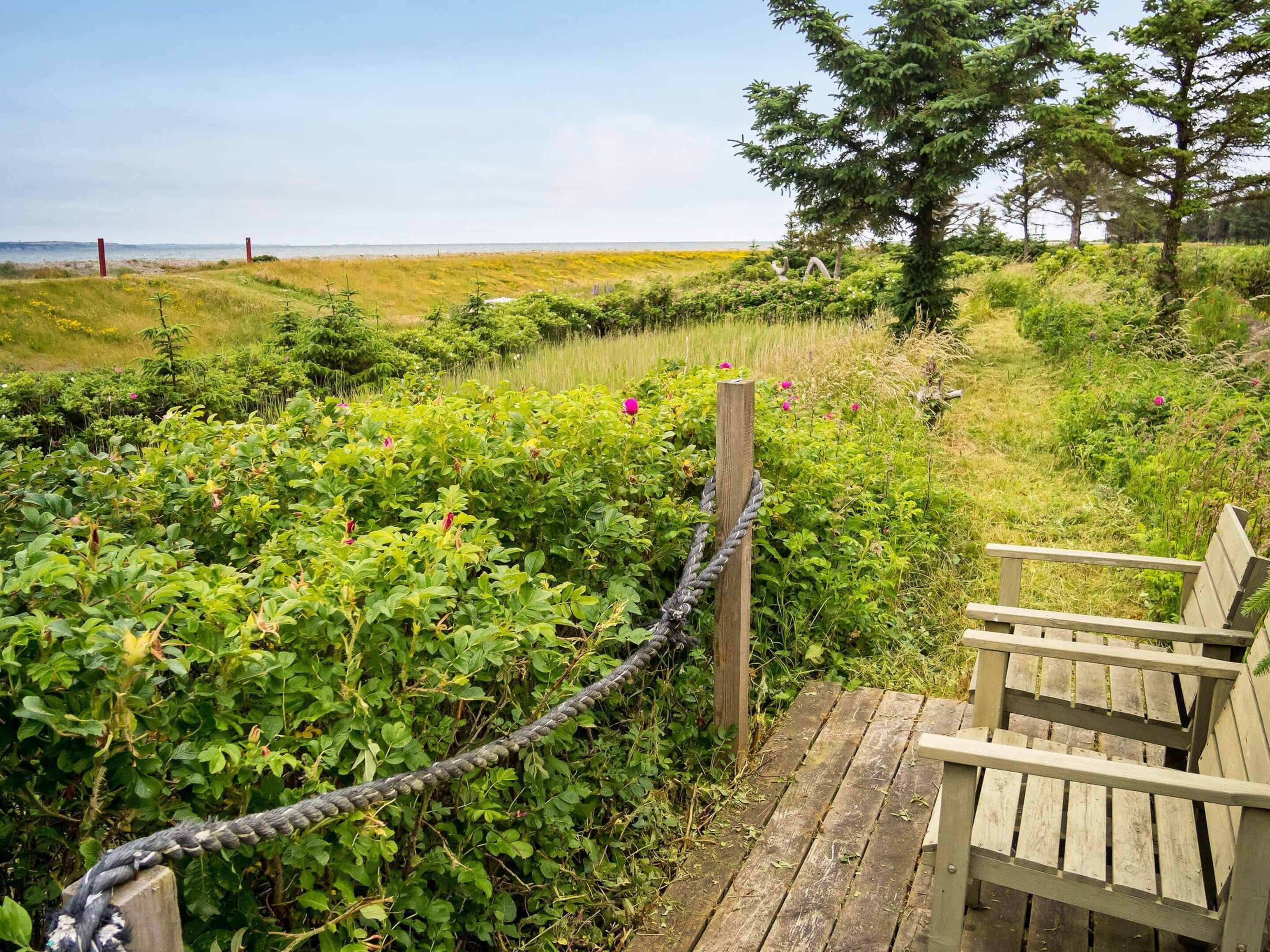 A wooden deck with a bench overlooking a garden with various plants and a view of the sea.