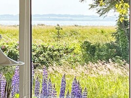 Vista desde la propiedad