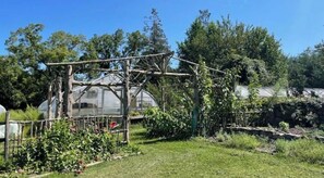 Surrounded by lush plants and shrubs, this serene greenhouse offers a peaceful retreat.