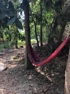 Área da propriedade