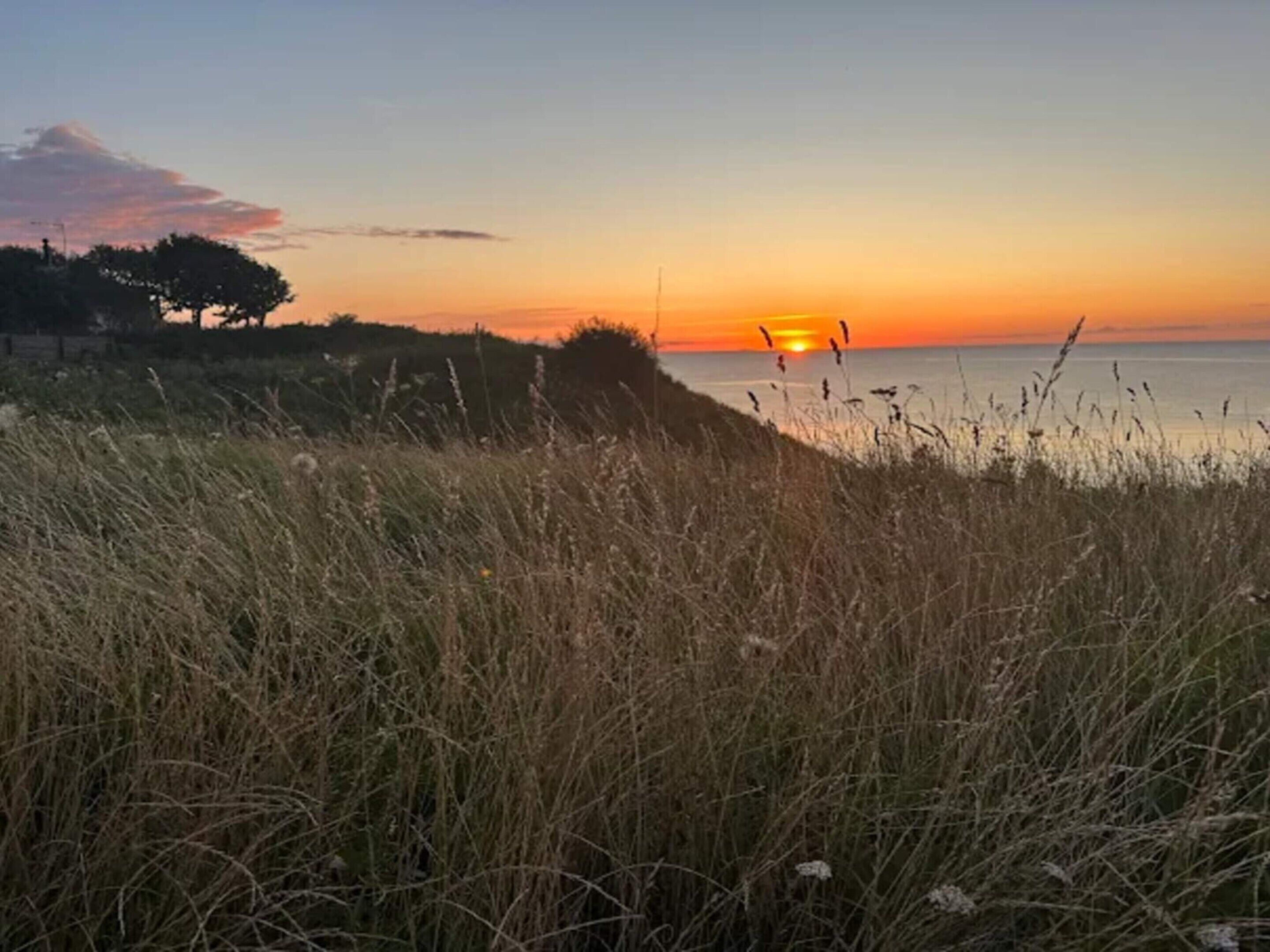Un coucher de soleil sur un paysage verdoyant, avec une étendue d'eau à l'horizon.