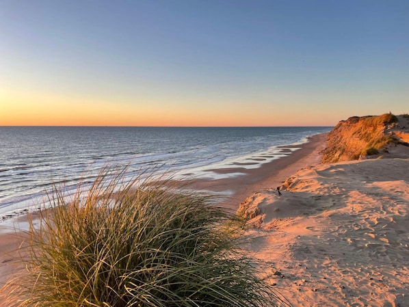 Une plage avec du sable, de l’herbe et un ciel dégagé.