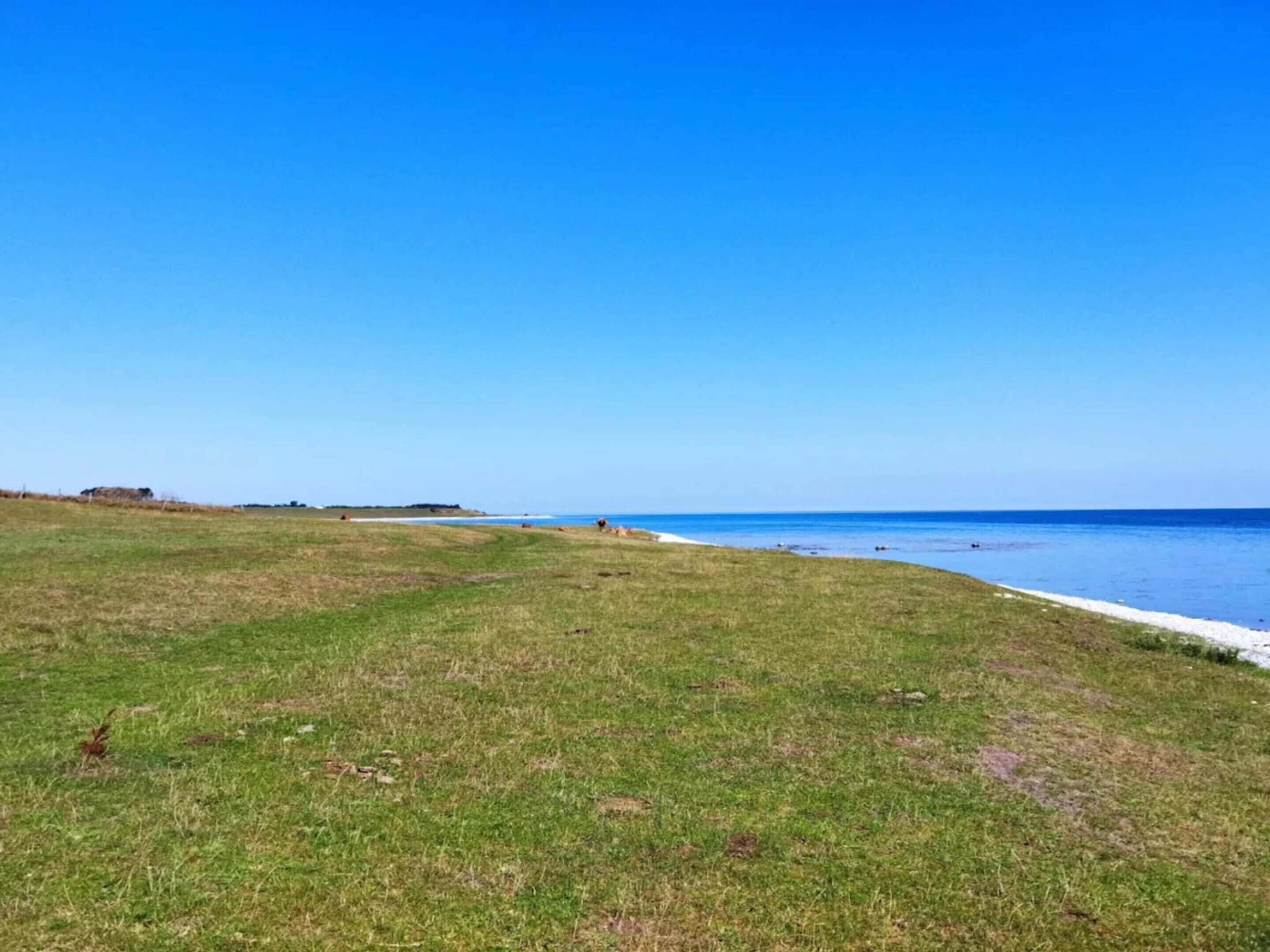 Un campo cubierto de hierba bajo un cielo azul despejado, con una masa de agua en la lejanía.