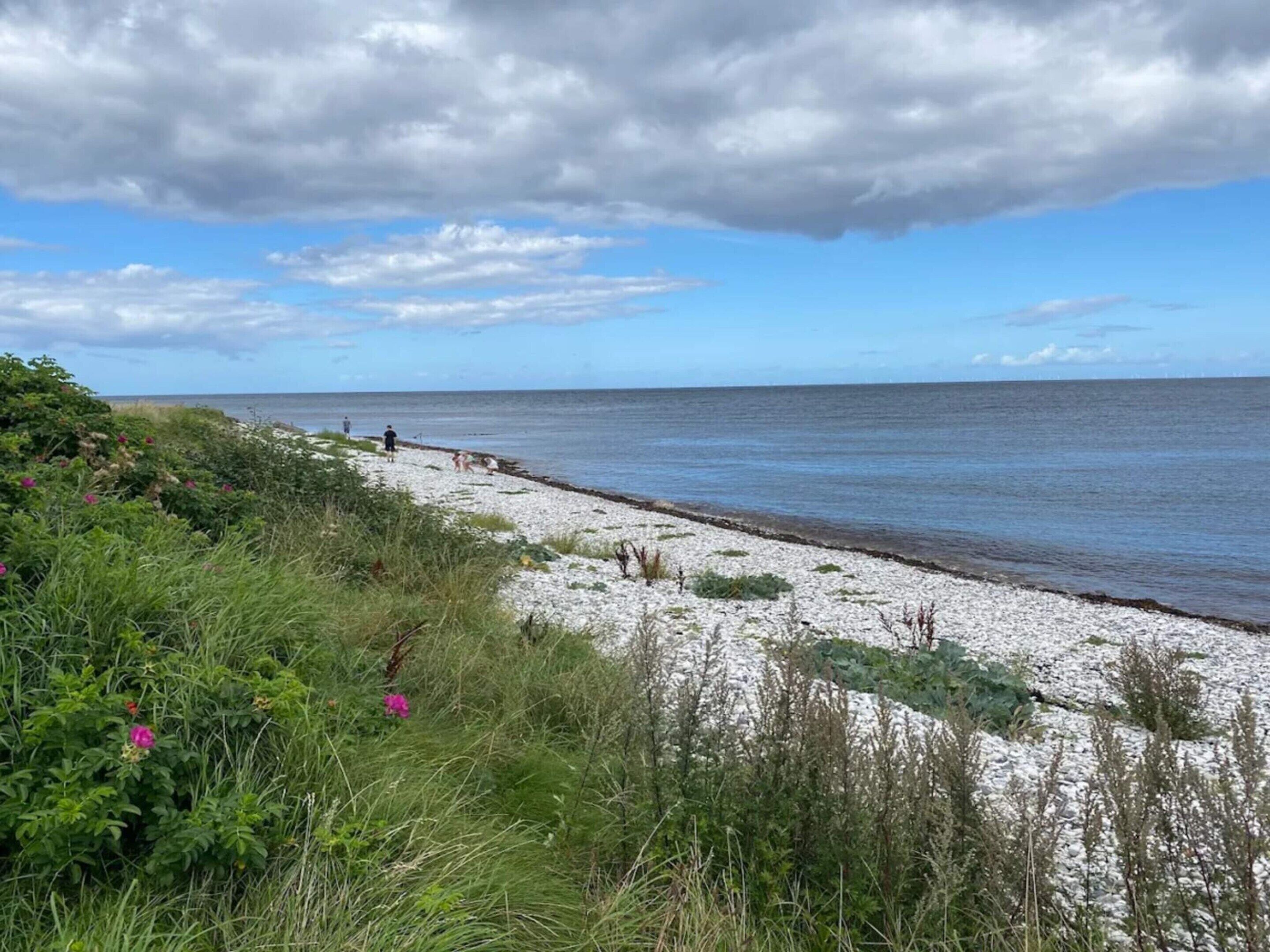 Un sentier côtier bordé d’une plage de galets, de zones herbeuses et offrant une vue sur la mer sous un ciel nuageux.