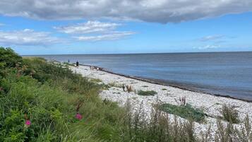 Un sentier côtier bordé d’une plage de galets, de zones herbeuses et offrant une vue sur la mer sous un ciel nuageux.