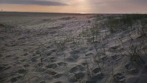 Una playa con dunas de arena y vegetación escasa.