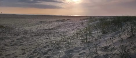 A beach with sand dunes and sparse vegetation.