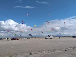 House | Miscellaneous