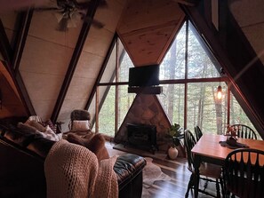 Fernseher, Kamin, DVD-Player, BĂŒcher