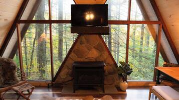 TV, fireplace, DVD player, books