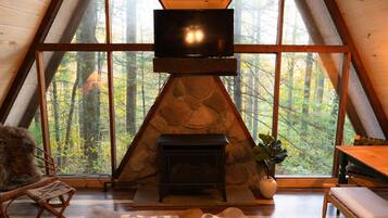 Televisor, llar de foc, reproductor de DVD i llibres