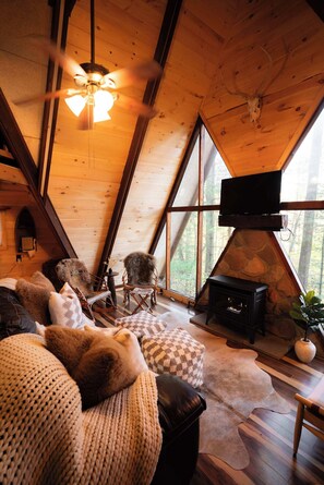 TV, fireplace, DVD player
