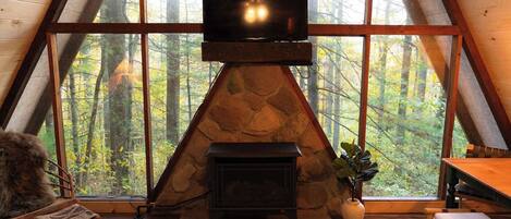 Fernseher, Kamin, DVD-Player, Bücher