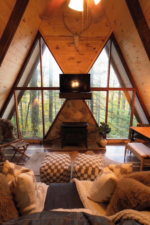 TV, fireplace, DVD player, books