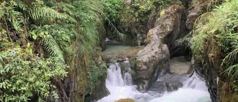 Una cascada natural rodeada de abundante vegetación.