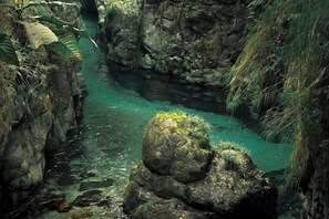 A narrow canyon with clear water, rocky terrain, and vegetation. - Emei Mountain Lakeview Inn (Emeishan City)