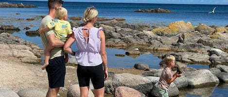 Eine vierköpfige Familie an einem felsigen Strand mit klarem, blauem Wasser und einer Möwe am Himmel.