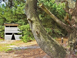 A rustic cabin with a sloped roof and a small porch, surrounded by dense forest.