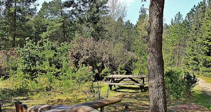 7 Person Holiday Home in Ulfborg