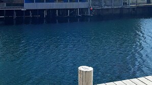A waterfront view with a dock and buildings in the background. - 4 Star Holiday Home in Sortland (Sortland)