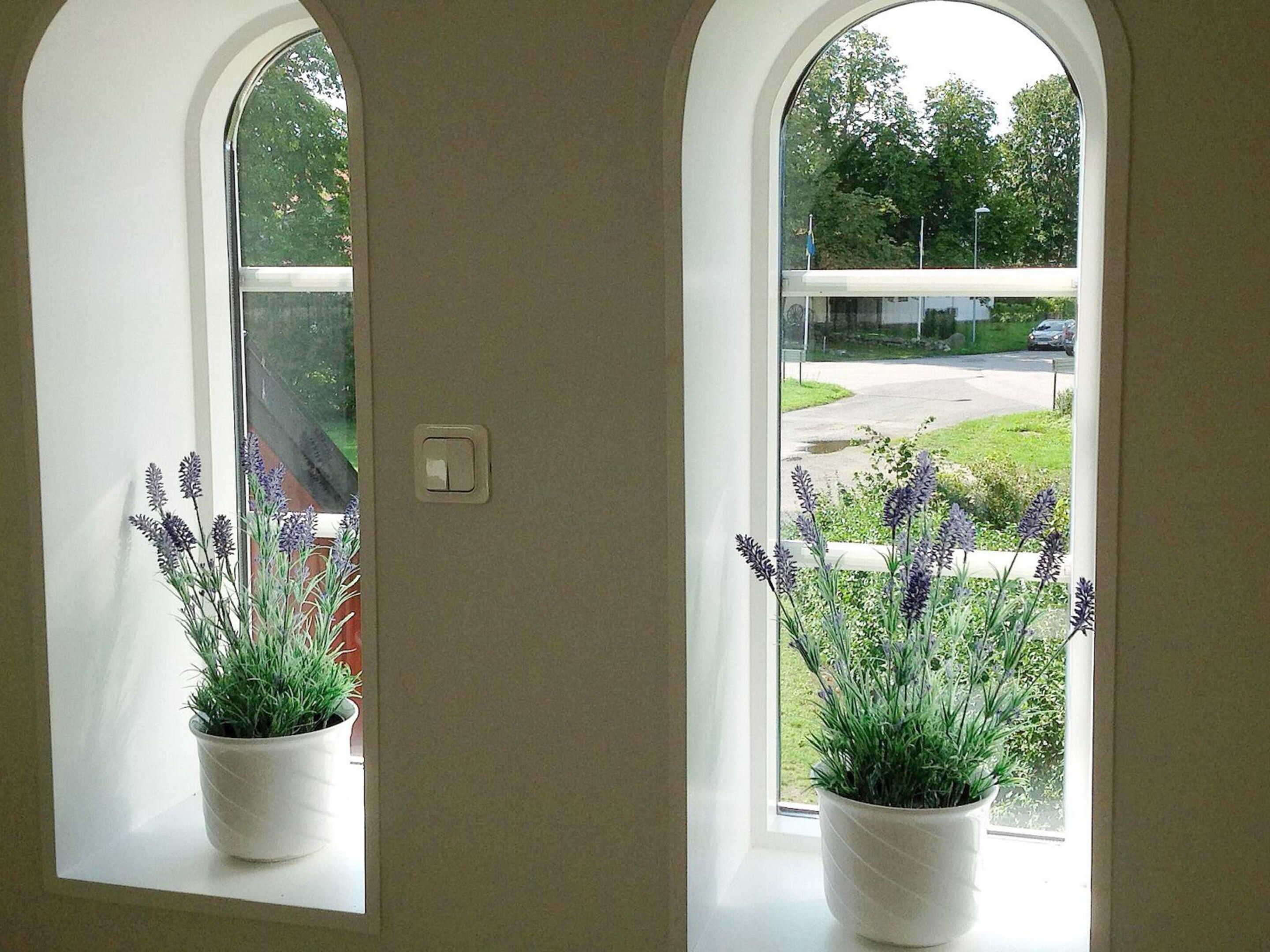 A doorway with two windows, each with a potted plant.