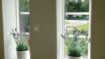 A doorway with two windows, each with a potted plant.