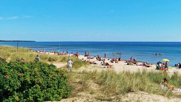 En strand med folk, der solbader og svømmer, omgivet af græs og buske.