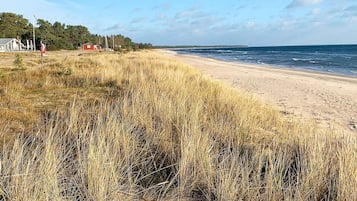 House | Beach