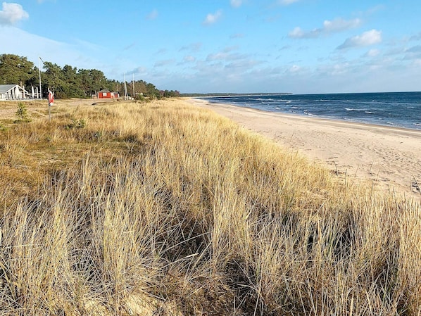 Una playa con una zona arenosa cubierta de pasto y algunos edificios al fondo.