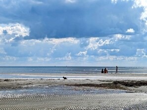 A beach with a sandy shore and a few people in the distance.