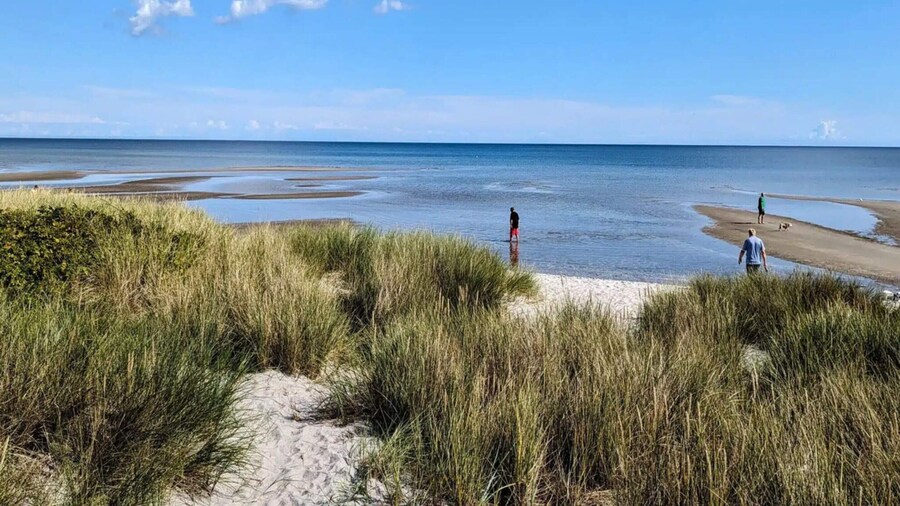 8 Person Holiday Home in Hals