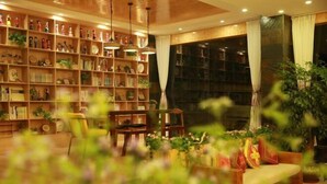 Una sala de estar acogedora con una estantería de madera llena de libros y objetos decorativos, un sofá cómodo y un ventanal con cortinas.