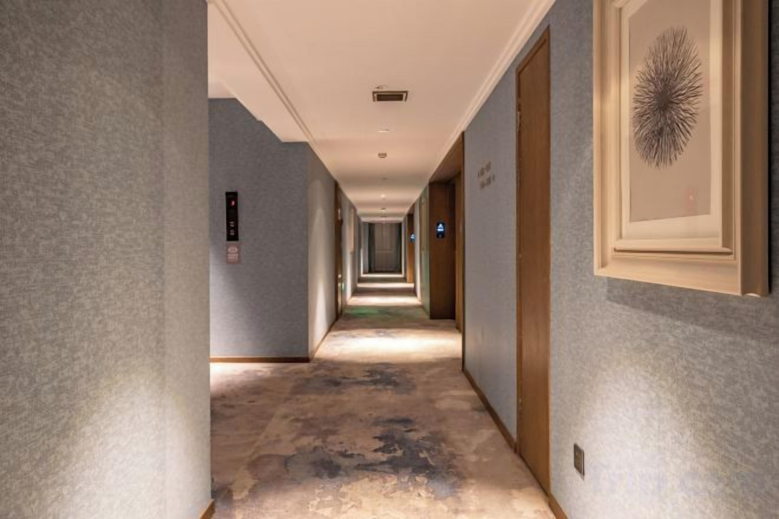 A long, narrow hallway with a carpeted floor, doors on both sides, and a light fixture on the ceiling.