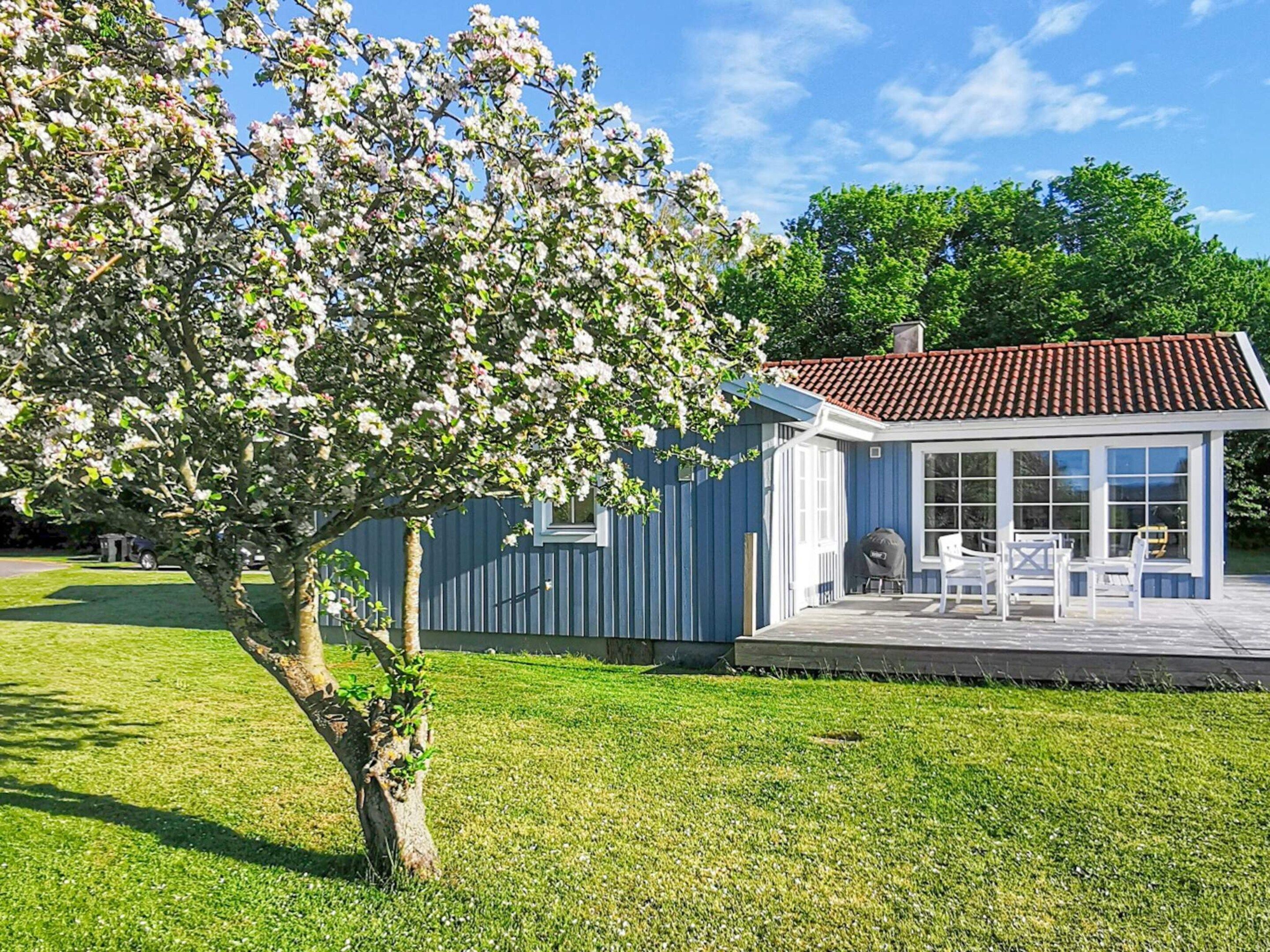 Una casa con porche cubierto, césped y un árbol con flores blancas.
