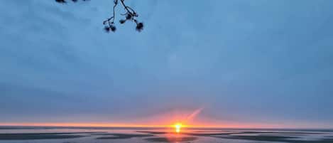 Casa | Vistas al agua