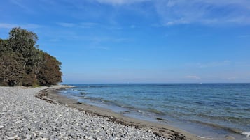 A pebbly beach with a rocky shoreline, a tree line, and calm sea.