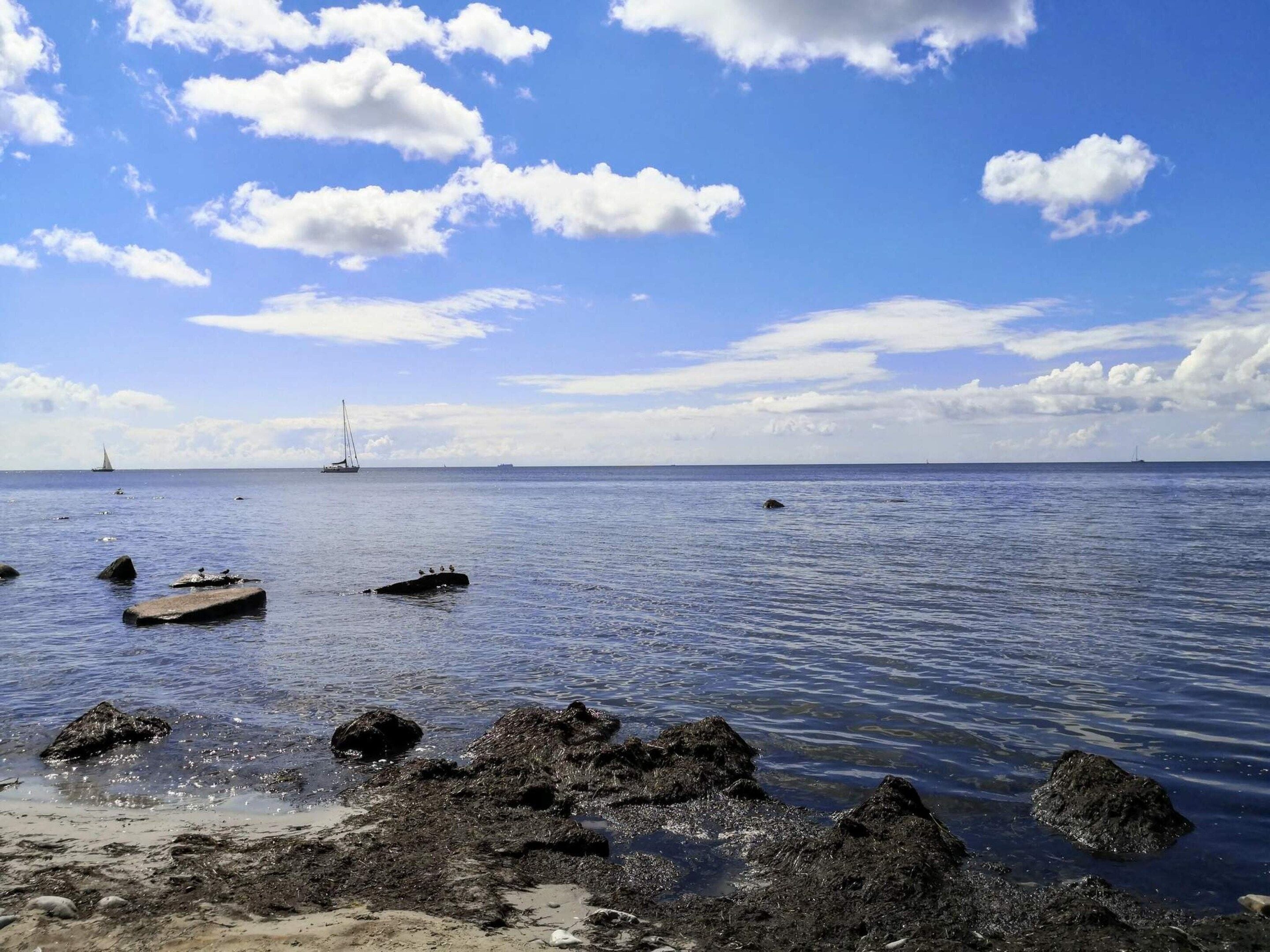 A coastal scene with calm waters, scattered rocks, and a distant sailboat.